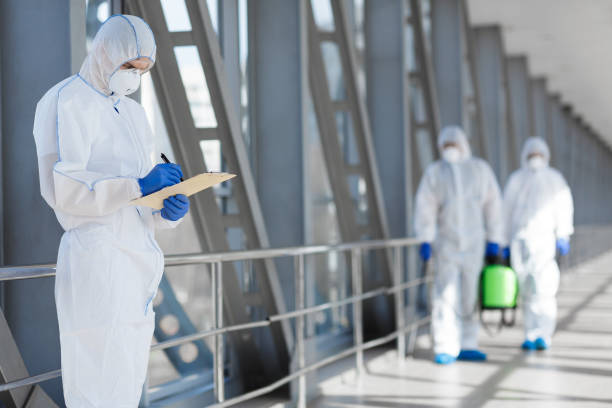 Best Mold Documentation for Insurance Claims  in Madeira, OH