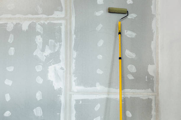Reliable Madeira, OH Mold Removal Solutions