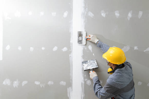 Best Comprehensive Air Testing for Mold Contaminants  in Madeira, OH
