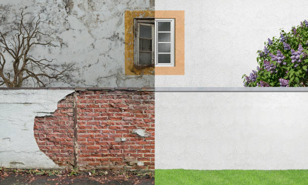 Best Comprehensive Air Testing for Mold Contaminants  in Madeira, OH