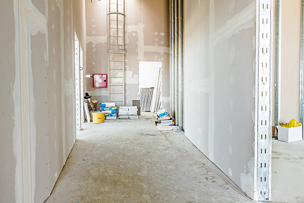 Best Post-Construction Mold Inspection  in Madeira, OH