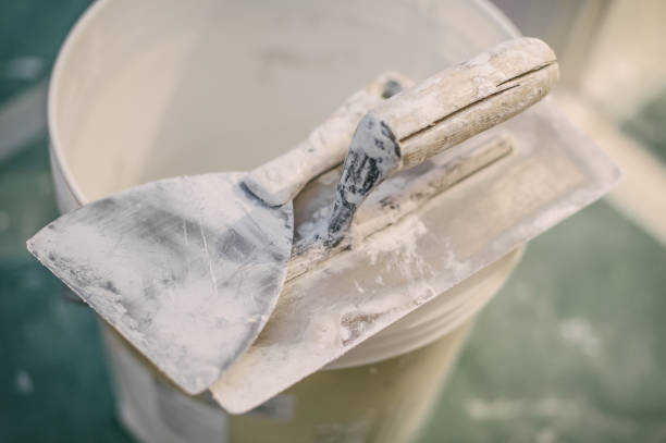 Best Real Estate Mold Inspection  in Madeira, OH